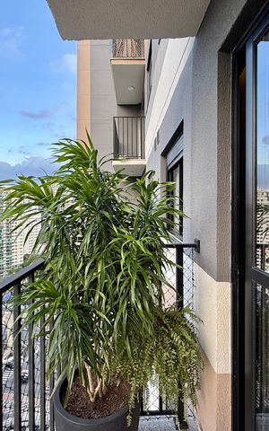 Apartamento à venda com 40m², 2 quartos e sem vaga Apartamento à venda com 40m², 2 quartos e sem vagaSacada