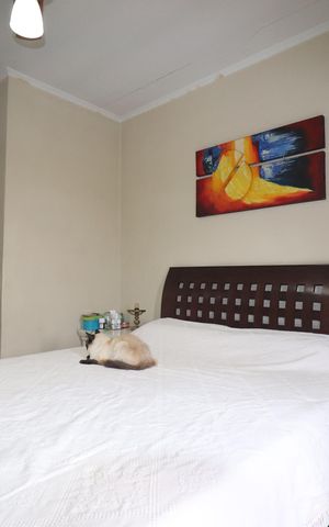 Casa para alugar com 478m², 5 quartos e 5 vagasQuarto 1 suíte