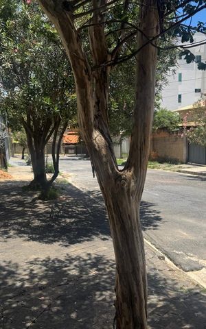 Studio para alugar com 20m², 1 quarto e sem vaga