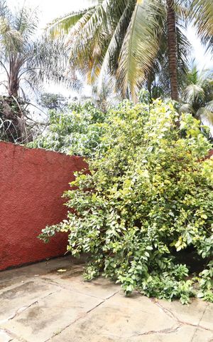 Casa para alugar com 487m², 9 quartos e 2 vagasQuintal