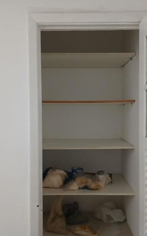 Apartamento à venda com 80m², 3 quartos e 1 vaga Apartamento à venda com 80m², 3 quartos e 1 vagaCozinha