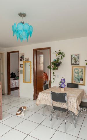 Apartamento para alugar com 46m², 2 quartos e sem vagaSala
