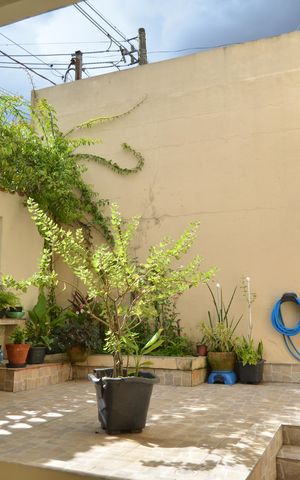Casa à venda com 133m², 3 quartos e 2 vagasQuintal