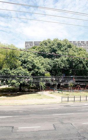 Apartamento à venda com 57m², 2 quartos e sem vagaQuarto 2 Vista