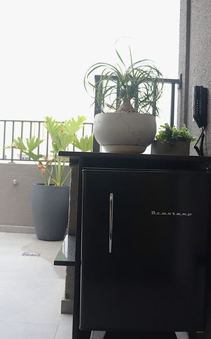 Apartamento para alugar com 26m², 1 quarto e sem vagaRooftop