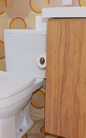 Apartamento para alugar com 26m², 1 quarto e sem vagaBanheiro
