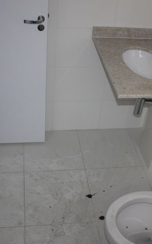 Apartamento à venda com 110m², 3 quartos e 2 vagasBanheiro da Suíte 2