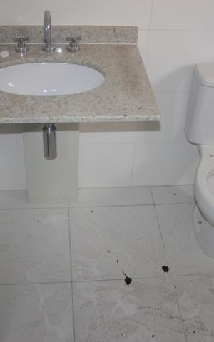 Apartamento à venda com 110m², 3 quartos e 2 vagasBanheiro da Suíte 2