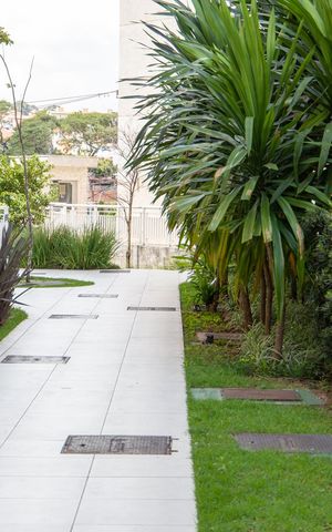 Apartamento à venda com 58m², 2 quartos e 1 vagaÁrea comum