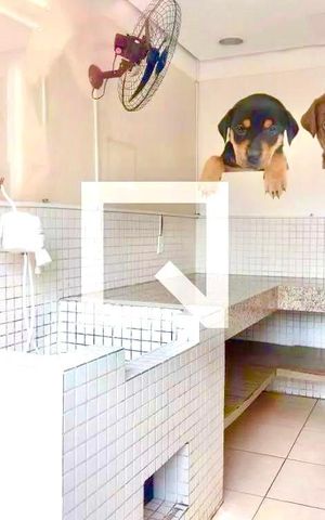 Apartamento à venda com 43m², 2 quartos e 1 vaga