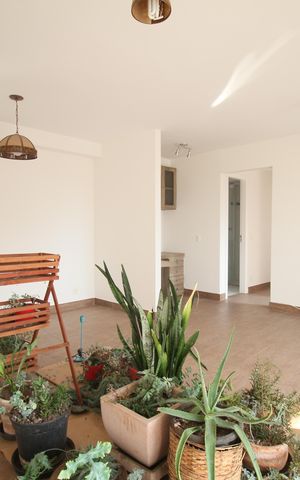 Apartamento para alugar com 79m², 2 quartos e 2 vagasSala