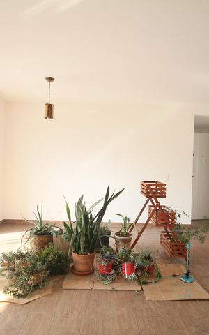 Apartamento para alugar com 79m², 2 quartos e 2 vagasSala