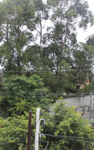 Casa à venda com 280m², 3 quartos e 3 vagasVaranda da suíte 