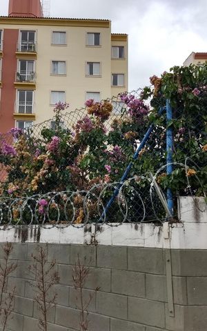 Apartamento à venda com 63m², 3 quartos e 1 vagaÁrea externa