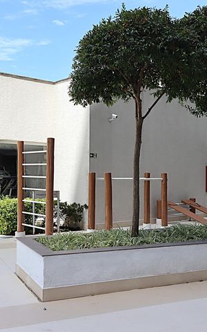 Apartamento para alugar com 75m², 3 quartos e 2 vagasÁrea comum - Academia