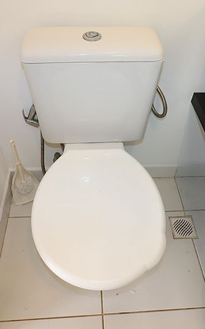 Apartamento para alugar com 75m², 3 quartos e 2 vagasBanheiro da Suíte