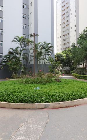 Apartamento para alugar com 75m², 3 quartos e 1 vagaÁrea comum - Área livre
