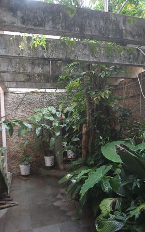 Casa à venda com 360m², 4 quartos e 6 vagasArea comum