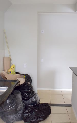 Apartamento para alugar com 50m², 2 quartos e 1 vagaCozinha