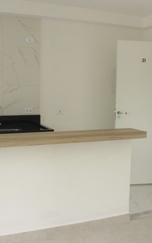 Apartamento para alugar com 52m², 2 quartos e sem vagaCozinha 