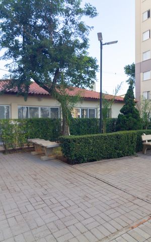 Apartamento para alugar com 47m², 1 quarto e sem vaga