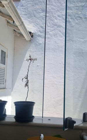 Apartamento à venda com 97m², 1 quarto e 1 vaga Apartamento à venda com 97m², 1 quarto e 1 vagaCozinha