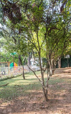Casa de condomínio à venda com 420m², 3 quartos e 6 vagasÁrea comum - Playground