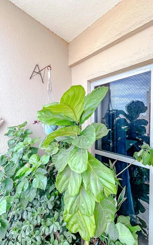 Apartamento à venda com 75m², 3 quartos e 1 vagaVaranda