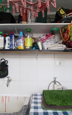Apartamento à venda com 54m², 2 quartos e 1 vagaÁrea de Serviço