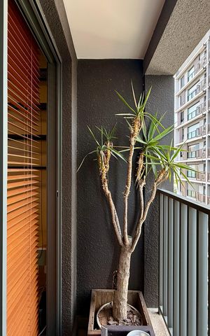Studio à venda com 22m², 0 quarto e sem vaga Studio à venda com 22m², 0 quarto e sem vagaSacada