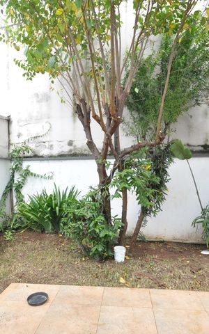 Casa à venda com 353m², 3 quartos e 3 vagasVista da Suíte 2