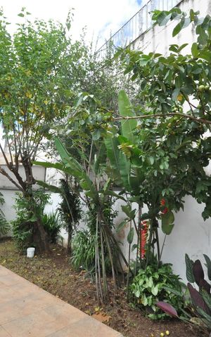 Casa à venda com 353m², 3 quartos e 3 vagasQuintal