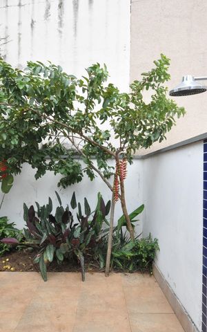 Casa à venda com 353m², 3 quartos e 3 vagasQuintal