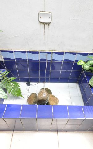 Casa à venda com 353m², 3 quartos e 3 vagasTanque de peixes