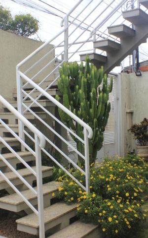 Casa para alugar com 385m², 4 quartos e 7 vagasÁrea comum