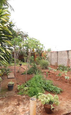 Casa para alugar com 285m², 6 quartos e 3 vagasQuintal
