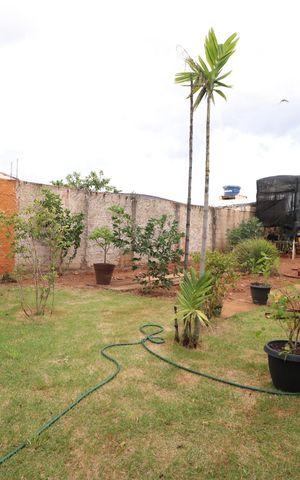 Casa para alugar com 285m², 6 quartos e 3 vagasQuintal