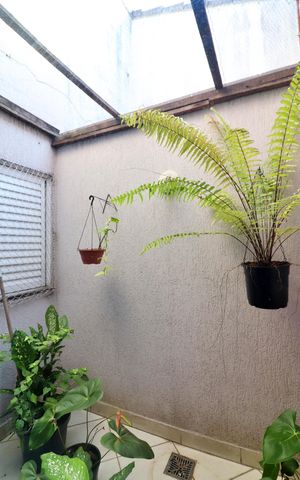 Casa à venda com 300m², 3 quartos e 4 vagasJardim de Inverno 