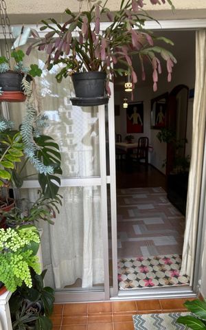 Apartamento à venda com 79m², 3 quartos e 1 vaga