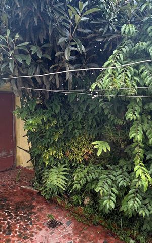 Casa à venda com 250m², 2 quartos e 3 vagas Casa à venda com 250m², 2 quartos e 3 vagasQuintal e Área de Serviço