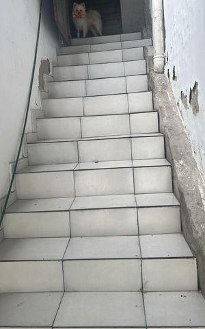 Casa para alugar com 60m², 1 quarto e sem vaga Casa para alugar com 60m², 1 quarto e sem vagaArea externa