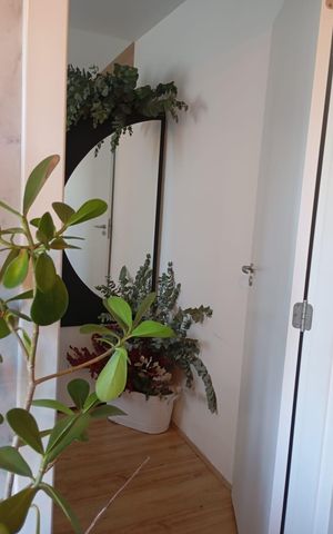 Apartamento para alugar com 47m², 2 quartos e sem vaga Apartamento para alugar com 47m², 2 quartos e sem vagaÁrea externa