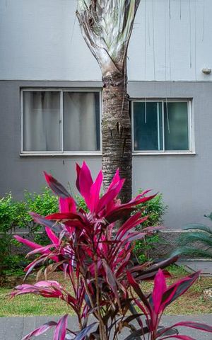 Apartamento para alugar com 55m², 2 quartos e 1 vagaVista cozinha e área de serviço