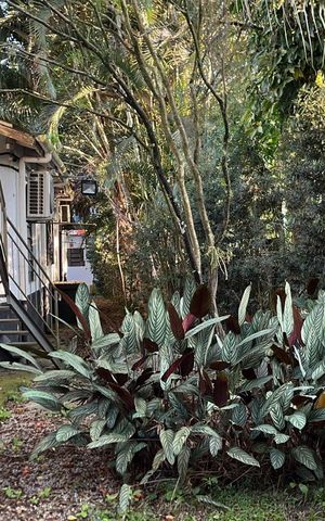 Casa para alugar com 1000m², 2 quartos e 3 vagas Casa para alugar com 1000m², 2 quartos e 3 vagasÁrea externa