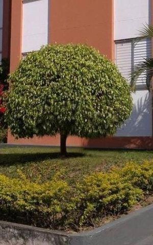 Apartamento à venda com 59m², 2 quartos e 1 vaga Apartamento à venda com 59m², 2 quartos e 1 vagaÁrea comum