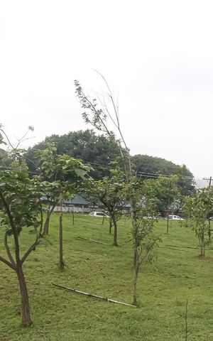 Apartamento à venda com 40m², 2 quartos e 1 vaga Apartamento à venda com 40m², 2 quartos e 1 vagaÁrea Verde