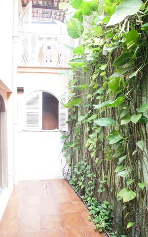 Casa à venda com 200m², 3 quartos e 2 vagasJardim de inverno