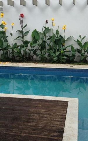 Casa à venda com 384m², 3 quartos e 5 vagas