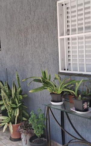Casa à venda com 199m², 2 quartos e 3 vagas
