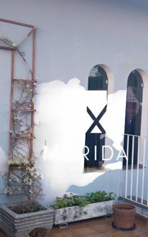 Casa à venda com 235m², 2 quartos e 3 vagas